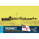 Эсминец "HMS Hornet"(Havock-class), 1894г