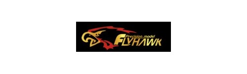 FlyHawk Model