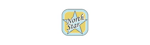 North star models